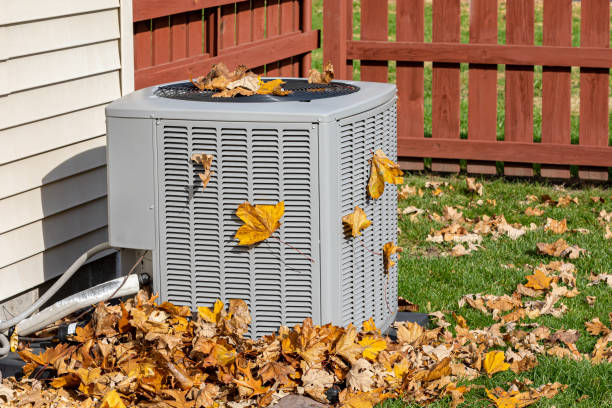 Best Local HVAC companies  in Hardwick, GA